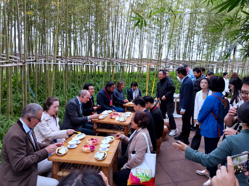 1730097184899438.jpg 沉浸试体验,国际园艺生产者协会到宜宾展园评比打分 (4).jpg