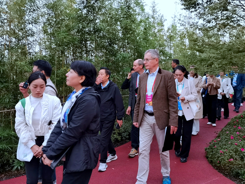 1730097262217381.jpg 沉浸试体验,国际园艺生产者协会到宜宾展园评比打分 (1).jpg