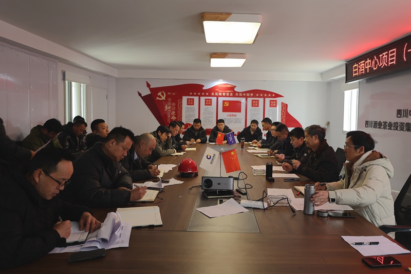 1739236985691985.jpg 建投建工到白酒中心(一期)项目开展节后复工复产工作督查 (3).JPG