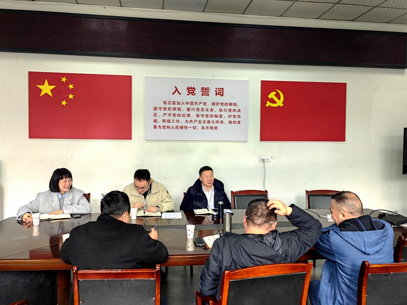 1741773100370365.jpg 建投集团副总经理黄宾赴长宁县多个项目调研 (1).jpg